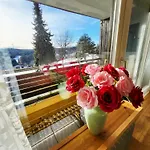 Renovated, Swimming Pool, Sauna, Forest, Children Room, Free Parking