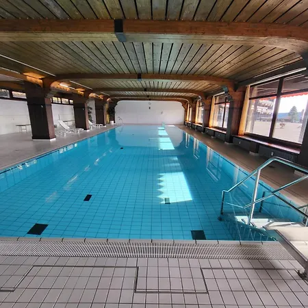 Renovated, Swimming Pool, Sauna, Forest, Children Room, Free Parking * סכונאץ'
