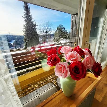 Renovated, Swimming Pool, Sauna, Forest, Children Room, Free Parking