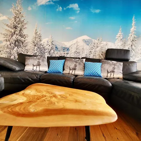 Renovated, Swimming Pool, Sauna, Forest, Children Room, Free Parking 公寓 Schonach im Schwarzwald