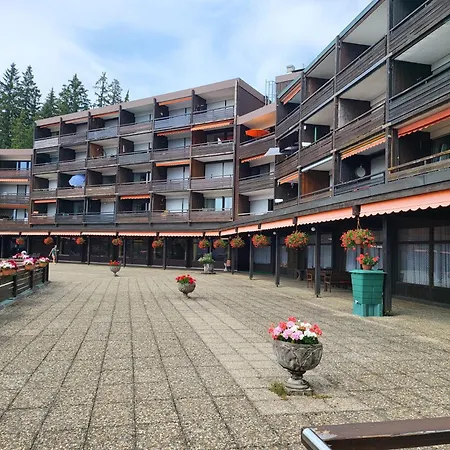 Renovated, Swimming Pool, Sauna, Forest, Children Room, Free Parking