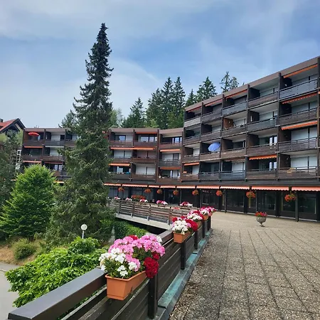 Renovated, Swimming Pool, Sauna, Forest, Children Room, Free Parking