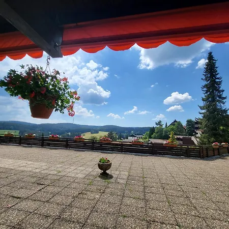 Renovated, Swimming Pool, Sauna, Forest, Children Room, Free Parking * סכונאץ'