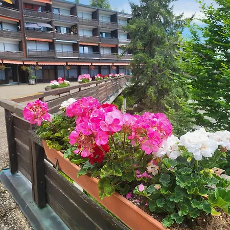 Renovated, Swimming Pool, Sauna, Forest, Children Room, Free Parking דירה