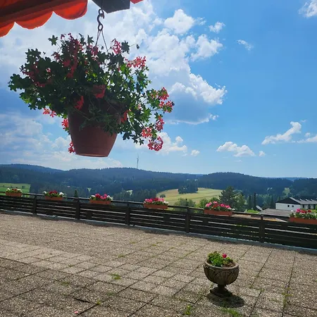 Renovated, Swimming Pool, Sauna, Forest, Children Room, Free Parking